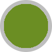 Kaki
